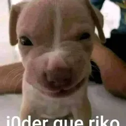 Redio master