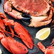 Bölüm 965: Kitosan