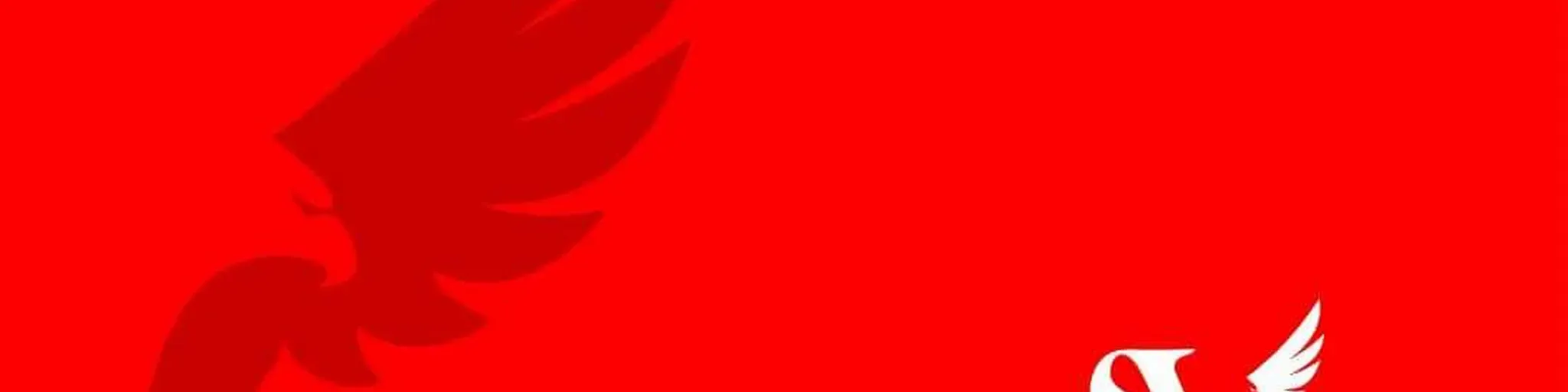 SturdyWings Radio