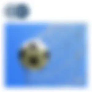 ስፖርት | Deutsche Welle