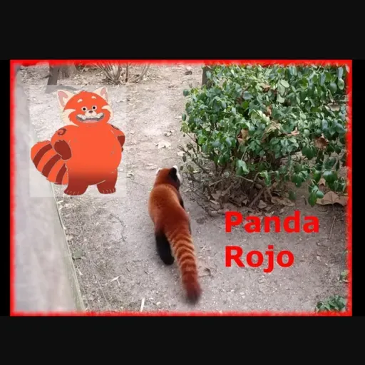 Episodio 112. Conociendo un pingüino, oso, panda rojo y mas en el ZOO de central park New York.