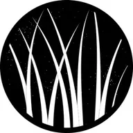 Who is your Champion (Tom Virden)