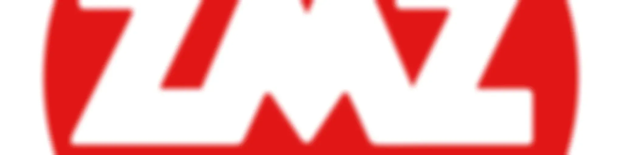 Zoo Music Zone Rewind