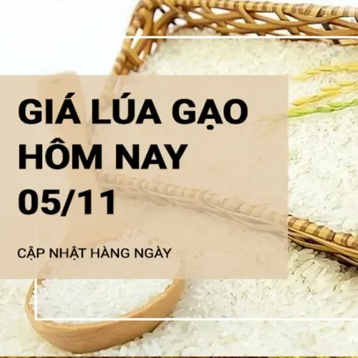 Giá lúa gạo hôm nay 5/11: Giá gạo giảm nhẹ 50 - 150 đồng/kg