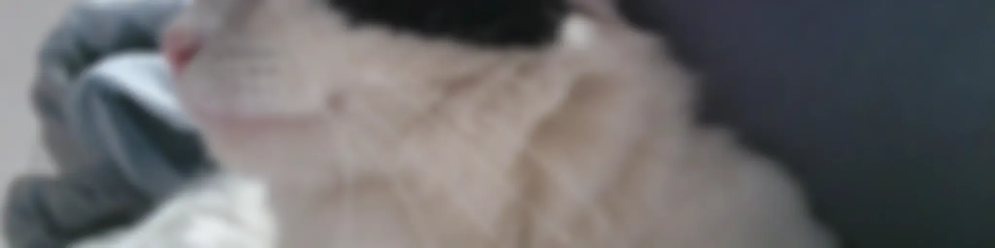 testing 
