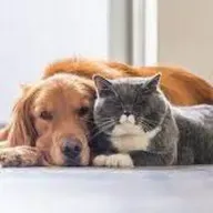 Consultorio animal con Sandra Lorena Vasquez | #DespuesDeLaTormenta