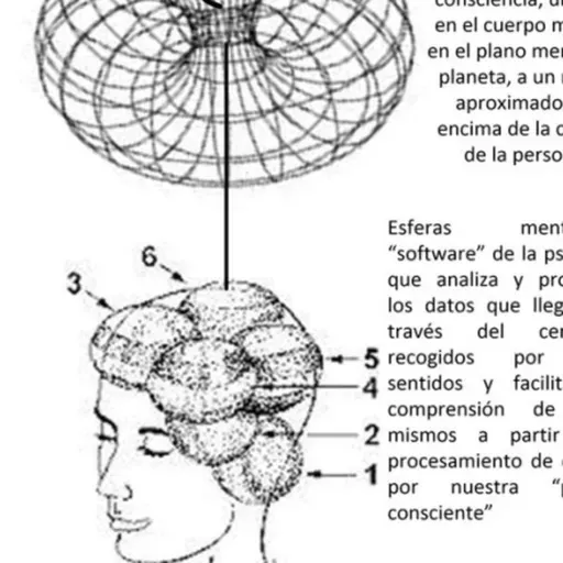 06-09-2019 Respuestas #25