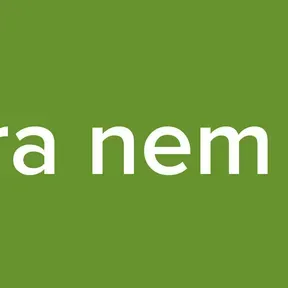 Chora nem nem