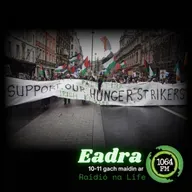 Stailc Ocrais na bPríosúnaithe ar son na Palaistíne - Áedán Dáire Ó Donghaile