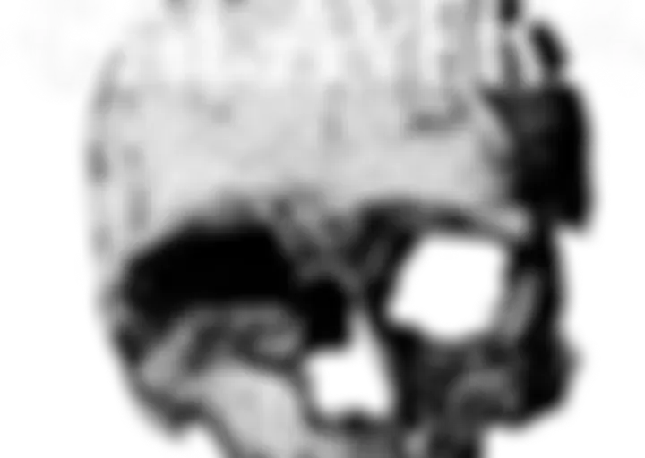 Rock Revolution 2