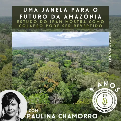 268 - Uma janela para o futuro da Amazônia: Estudo do IPAM mostra como colapso pode ser revertido