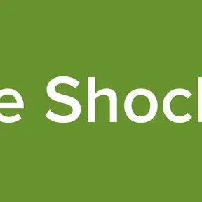 The Shocker