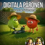 11. Så gör du din trädgård smartare