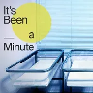 Why are people freaking out about the birth rate?