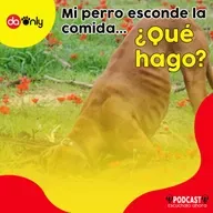 Episodio 126: Mi perro esconde la comida