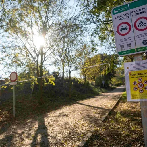 Andalucía Informa 1 de diciembre de 2025