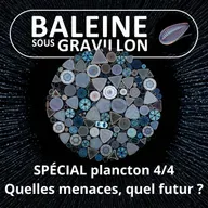 SPÉCIAL PLANCTON 4/4 : Quelles menaces, quel futur ? (Pierre Mollo)