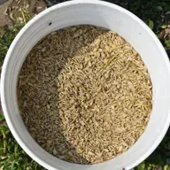 Ear to the Ground 392: Diversity’s Diet