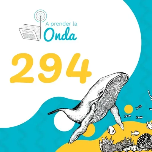 Episodio 294: ¿Cómo así que sexualidad no es solo eso?