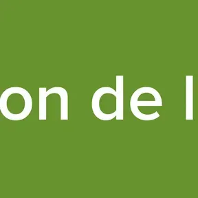 el vacilon de la tarde