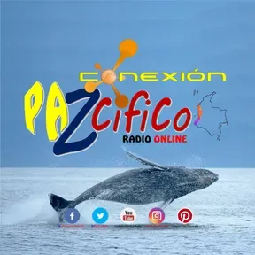 Conexión Pazcifico