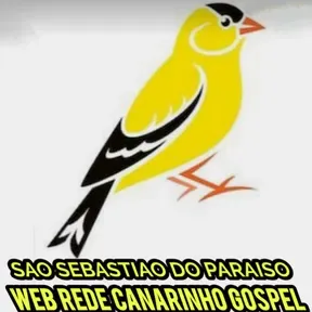 WEB RADIO REDE CANARINHO GOSPEL
