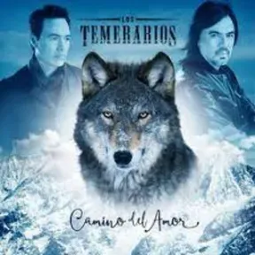 TemerariosSongs