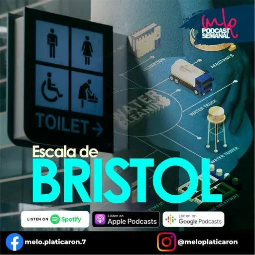 MLP - La escala de BRISTOL!