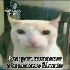 Queen radio