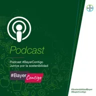 Proyecto "Entorno amigo de las personas mayores", del Hospital La Paz y Bayer