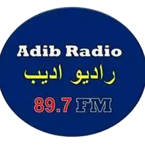 رادیو ادیب