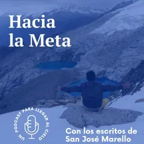 HACIA LA META