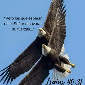 Radio Aguila Cristiana