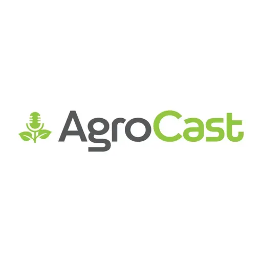 Episódio #160 - Análise de Bolsa, Dólar, Commodity Café da Mesa de Operações da Minasul - 10/10/2022