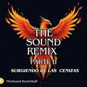 THE SOUND REMIX