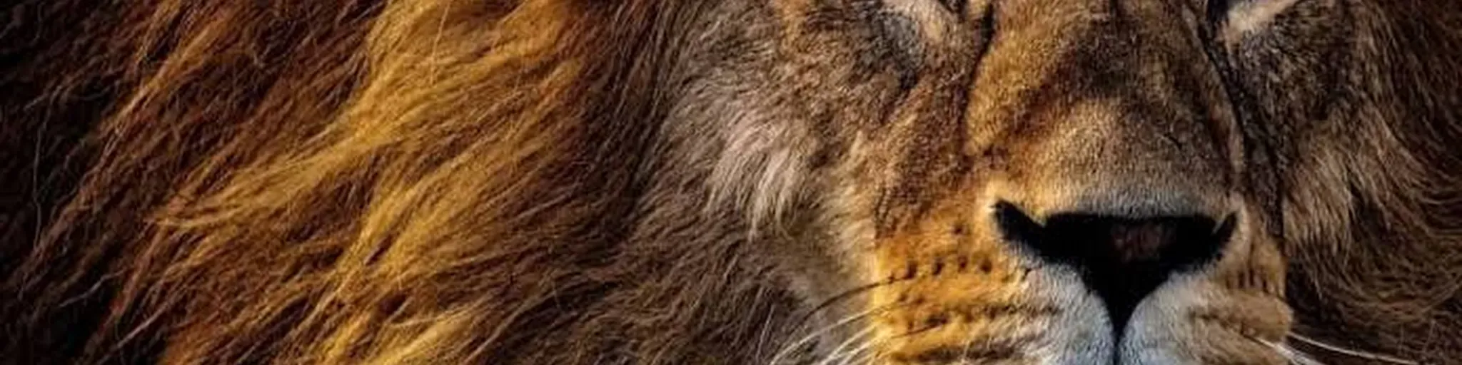 Rádio SaraPinheiroMA