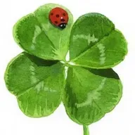 53 генный ключ. Путь Расширения. Free-вольные чтения.