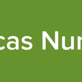 Lucas Nunes