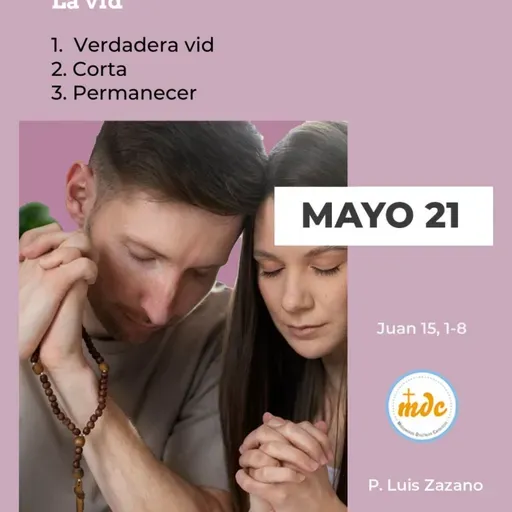 Juan 15, 1-8: La vid