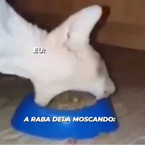 Funk pesadooo