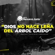 "Dios no hace leña del árbol caído" Mateo 12:20 - Pastor Rafael Torres Zacour