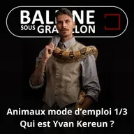 S07E59 Animaux mode d'emploi 1/3 : Qui est Yvan Kereun, le zoologiste aventurier ?