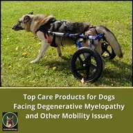 Top Care Products for Dogs Facing Degenerative Myelopathy and Other Mobility Issues