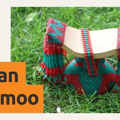 Aadaa bareedaa qabnu jabeeffachuuf dirqama qabna jedhti Ade. Fayinee Qaabatoo