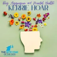 When Dogs Mirror Us: Exploring the Link Between Human Emotions and Canine Behavior