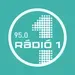 FM95 Rádió 1 Debrecen