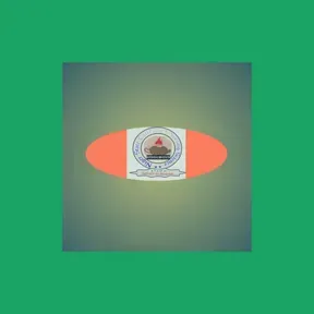 DUTIES OF NIGERIA NURSE'S BASE ON SCHEMES OF SERVICE