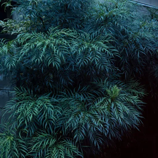 EP#191：皆さんの写真見せてください！