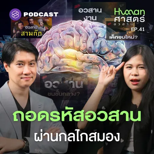 HMS41 บังเอิญหรือตั้งใจ? ทำไมเราชอบมองเห็นสิ่งเดิมซ้ำๆ