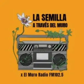 La Semilla a través del Muro